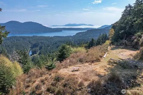 1637 Spring Hill Rd, Orcas Island, WA 98245 photo 7
