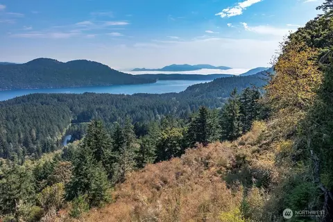 1637 Spring Hill Rd, Orcas Island, WA 98245 photo 33
