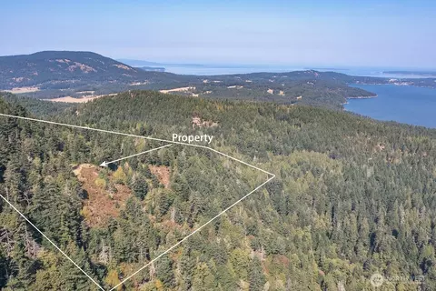 1637 Spring Hill Rd, Orcas Island, WA 98245 photo 12