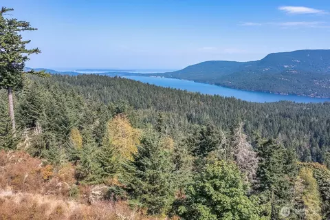 1637 Spring Hill Rd, Orcas Island, WA 98245 photo 30
