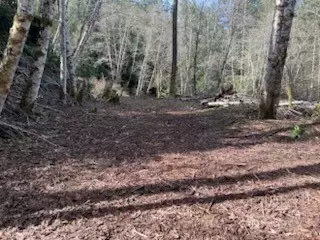 61 E Woods Pl, Belfair, WA 98528