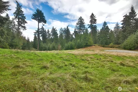 4781 Whale Pass Way, Langley, WA 98260
