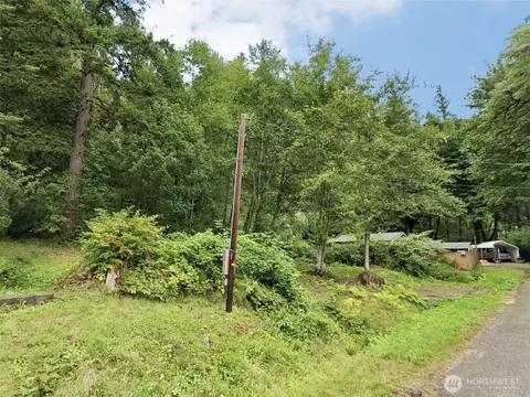 141 NE Steelhead Dr, Belfair, WA 98528