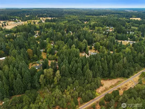823 Tipsoo Loop S, Rainier, WA 98576 photo 2