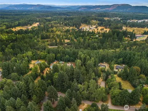 823 Tipsoo Loop S, Rainier, WA 98576 photo 6