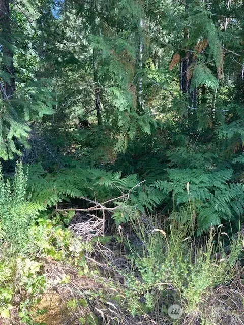 21 N Goldeneye Dr, Hoodsport, WA 98548