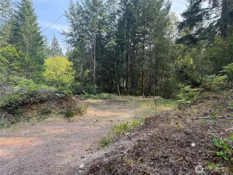31 E Tintagel Pl, Shelton, WA 98584