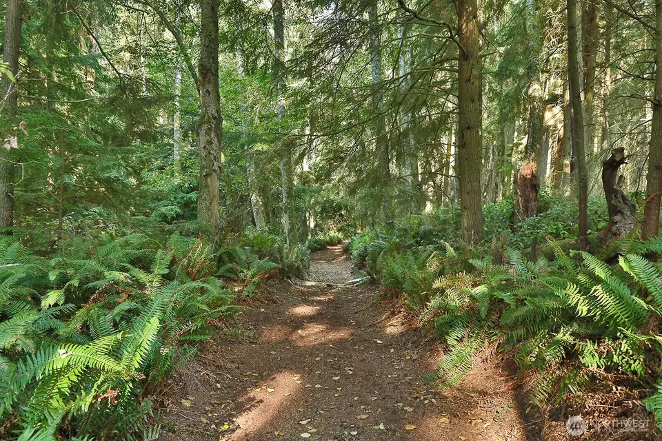 Other - 381 Lake Hancock Dr, Coupeville, WA 98239 photo 8 of 9