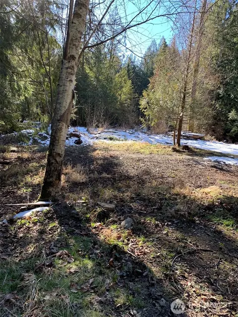47 Nn 250th Ave SE, Issaquah, WA 98029