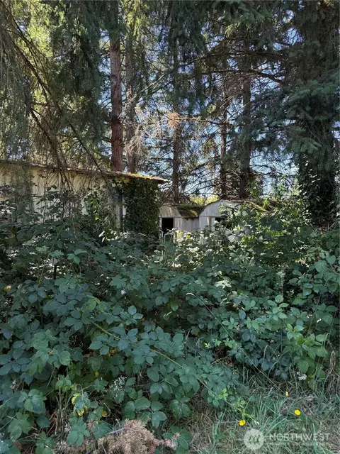 20016 65th Ave E, Spanaway, WA 98387 photo 10