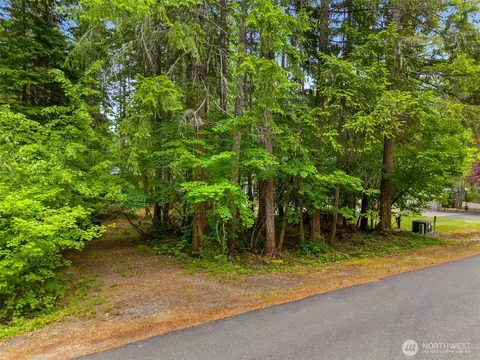 0 N Nn N Mountain View Dr, Hoodsport, WA 98548