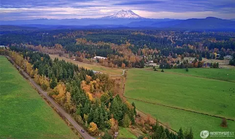 19441 Cougar Mountain Airport Rd SE, Yelm, WA 98597