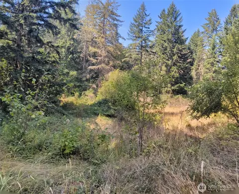 33118 68th Ave S, Roy, WA 98580