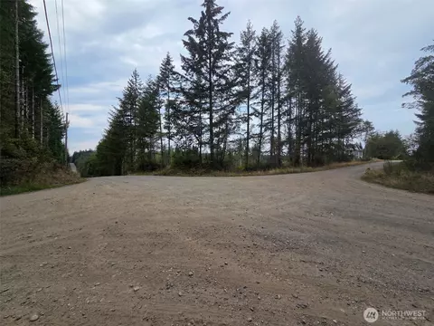 91 E Joyce Ln, Belfair, WA 98528