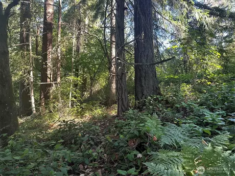 0 Walnut Ln, Steilacoom, WA 98388