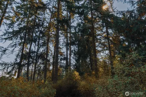 Other - 83 Medsker Rd, Sequim, WA 98382 photo 14 of 16