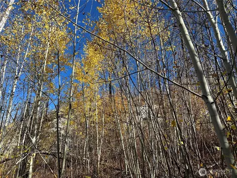0 Tbd Evans Ranch Rd, Omak, WA 98849