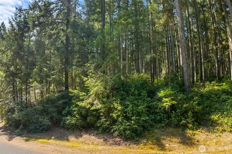 10018 Edgewood Dr, Anderson Island, WA 98303