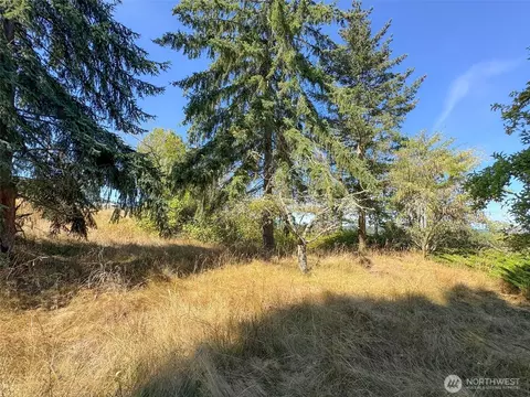 463 Miller Rd, Sequim, WA 98382 photo 33