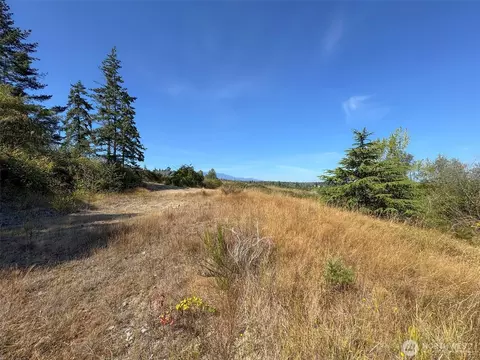 463 Miller Rd, Sequim, WA 98382 photo 20
