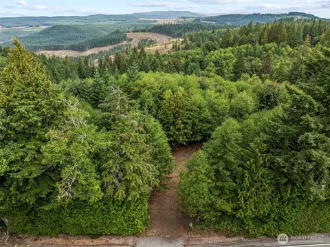 0 Mt Brynion Rd, Kelso, WA 98626