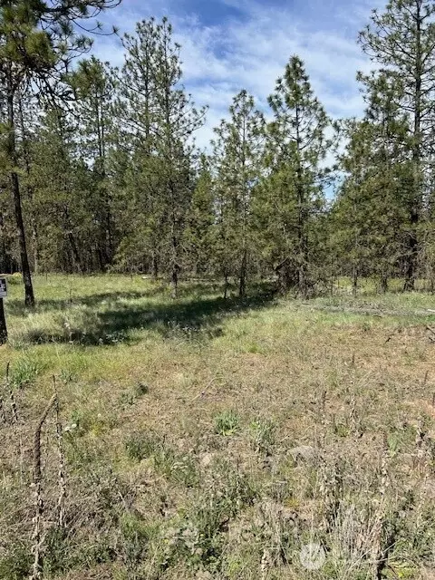 0 Rocky Ridge Rd, Davenport, WA 99169