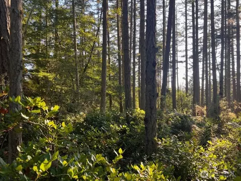 3 Lot Pavey Blvd, Lopez Island, WA 98261