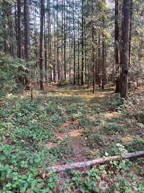 180 N Union Dr, Hoodsport, WA 98548