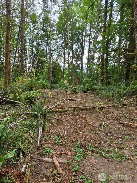 1725 Winlock Vader Rd, Vader, WA 98596 photo 3