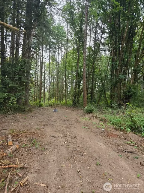 1725 Winlock Vader Rd, Vader, WA 98596