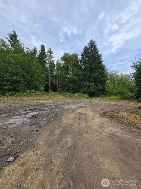 1725 Winlock Vader Rd, Vader, WA 98596 photo 2