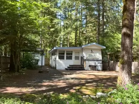 165 4 Christmas Tree Cir, Maple Falls, WA 98244