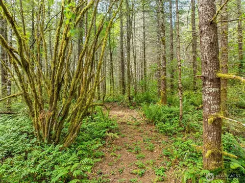 0 Lincoln Creek Rd, Rochester, WA 98579