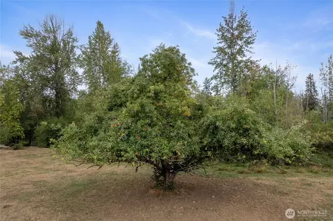 11919 8th St E, Edgewood, WA 98372 photo 12