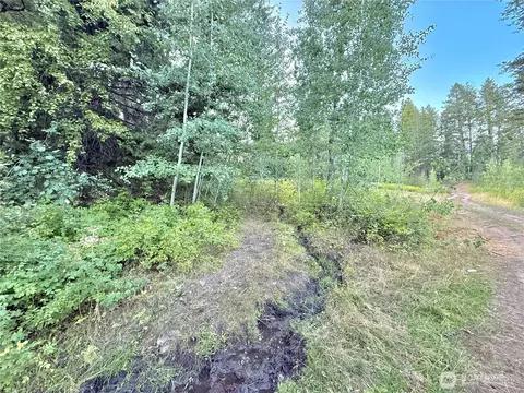0 Tbd Buzzard Lake Rd, Okanogan, WA 98840