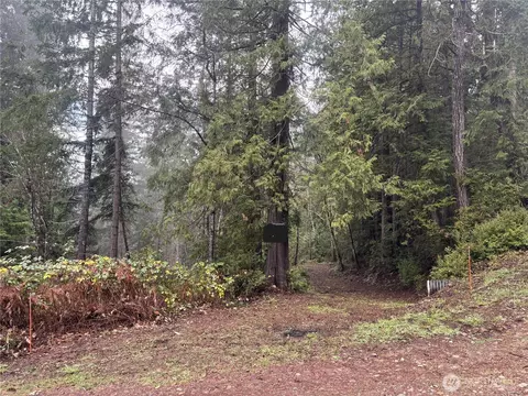 0 Yashi Rd, Brinnon, WA 98320