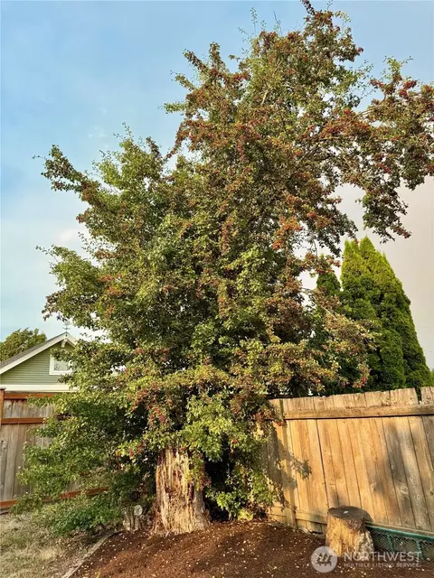 Other - 2025 Neilsen Ave, Enumclaw, WA 98022 photo 9 of 14
