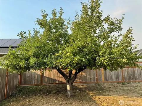 Exterior - 2025 Neilsen Ave, Enumclaw, WA 98022 photo 7 of 12