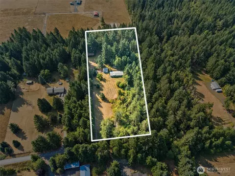 137 Tingle Rd, Winlock, WA 98596 photo 5