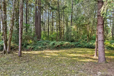 137 Tingle Rd, Winlock, WA 98596 photo 30