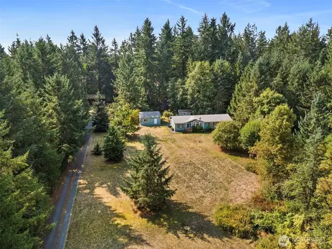 137 Tingle Rd, Winlock, WA 98596 photo 39