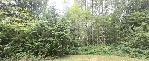 0 Alder Pl, Elma, WA 98541