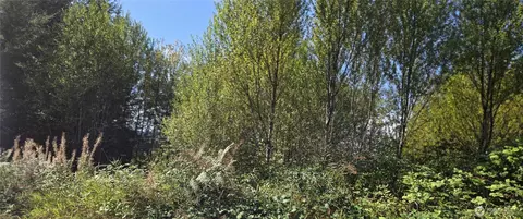 0 Fairview Ct, Montesano, WA 98563