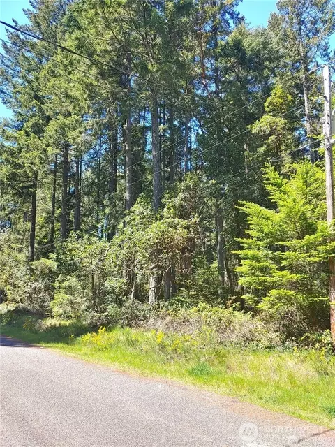 10101 10019 129th Dr, Anderson Island, WA 98303