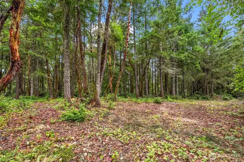 17420 74th St NW, Vaughn, WA 98394