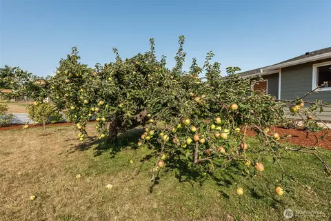 60 Ridge Pl, Sequim, WA 98382 photo 35