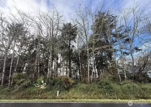 399 NE Duck Lake Dr, Ocean Shores, WA 98569