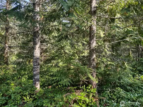 0 Blue Valley Rd, Port Angeles, WA 98362