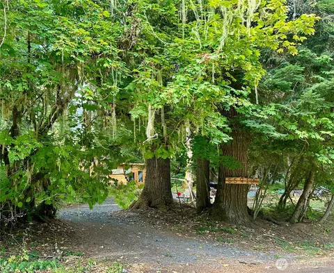 55918 317th Ave E, Ashford, WA 98304