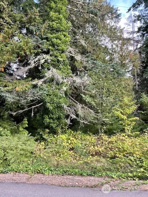 2569 SE Spring Creek Rd, Port Orchard, WA 98367